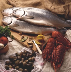 Pesce, alleato della dieta