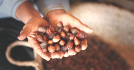 Semi da cui si ricava l'Olio di Argan